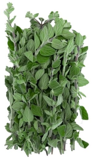 Oregano 100g
