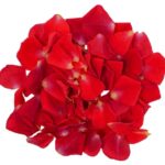 Blüten Rosenblätter 8 Schalen von Vugt