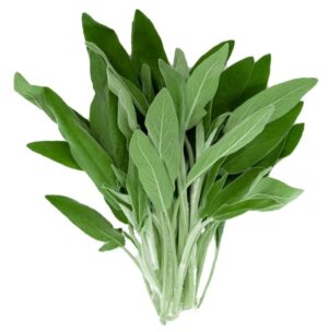 Salbei 100g