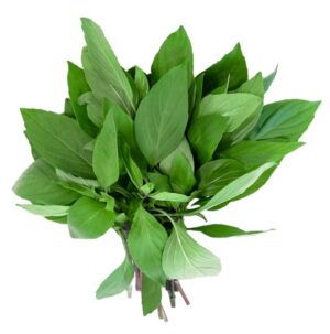 Thai Basilikum 40g