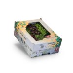 Kresse Sakura Mix 16er Schalen Koppert Cress