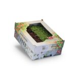 Kresse Shiso Mix 16er Schalen Koppert Cress