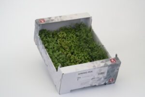 Kresse Spring Mix 16er Schalen Koppert Cress