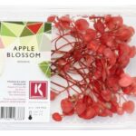 Appel Blossom 2x100Stück Koppert Cress