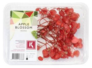 Appel Blossom 2x100Stück Koppert Cress
