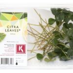 Citra Leaves 2x25Stück Koppert Cress