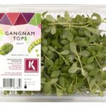 Gangnam Tops 2x50Stück Koppert Cress