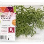 Kikuna Leaves 2x25Stück Koppert Cress