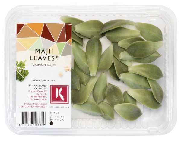 Majii Leaves 2x25Stück Koppert Cress – Bild 1