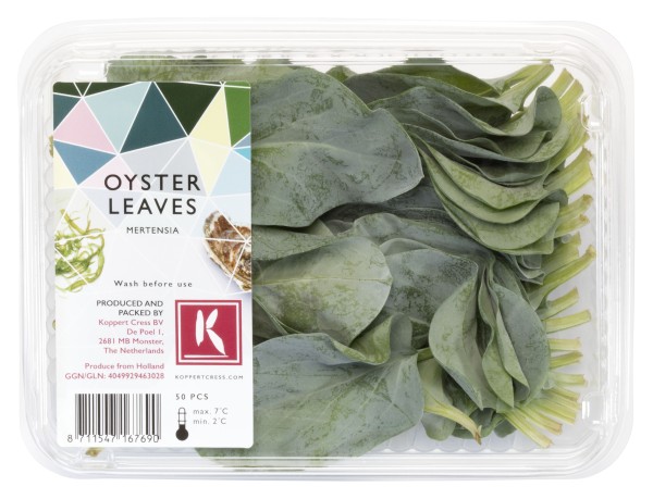 Oyster Leaves 2x50Stück Koppert Cress – Bild 1