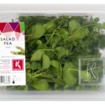 Salad Pea 2x100Stück Koppert Cress