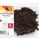Shiso Leaves Purple 12x15Stück Koppert Cress