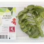Syrhar Leaves 2x25Stück Koppert Cress