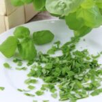 Basilikum 1kg TK Melzer