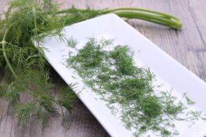 Dill 1kg TK Melzer