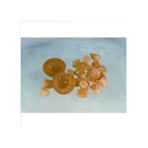 Aprikosen halbe Frucht 2,5kg TK Golden Crown