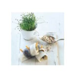 Gabelrollmops MSC 2,5kg ca 40Stück Quality