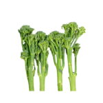 Wilder Brokkoli 200g