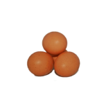 Eier Bodenhaltung Größe M/L 10er Dingholzer