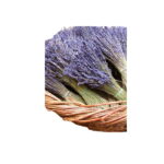 Lavendel getrocknet Bund
