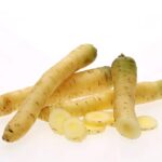 Karotten gelbe Möhren