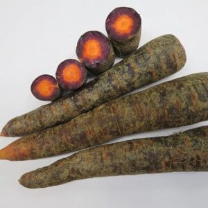 Karotten Ur-Möhren Purple Haze