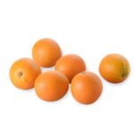BIO Orangen