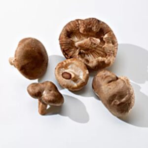 Pilze Shitake