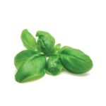 Basilikum 250g TK Pinguin