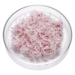 Radieschen Stifte 2mm