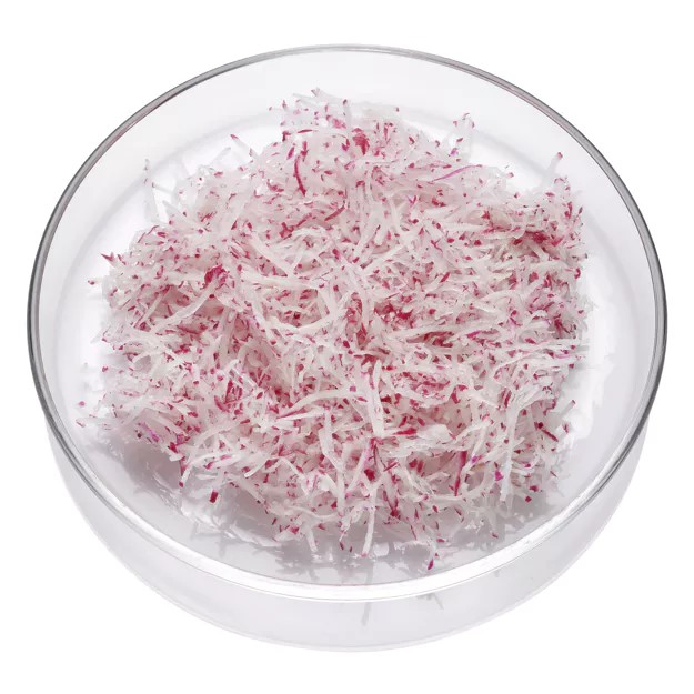 Radieschen Stifte 2mm – Bild 1