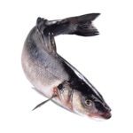 Loup de Mer / Wolfsbarsch frisch ca. 1-2kg