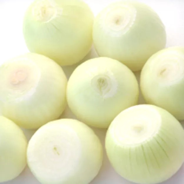 Zwiebel ganz geschält weiß – Bild 1