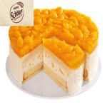 Erlenbacher Mandarinen Käse Sahne Torte ungeschnitten 28cm 2500g TK