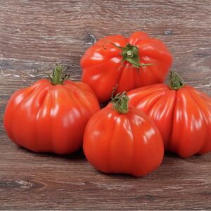 Tomaten Coeur De Boeuf / Ochsenherz 3kg