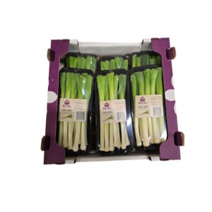 Babygemüse Mini Porree 6x200g