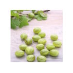 Stachelbeeren 2,5Kg TK Melzer