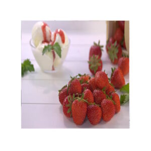 Erdbeeren 2,5kg TK Melzer