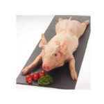Spanferkel gepökelt im ganzen ca 40kg TK