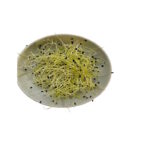 Sprossen Knoblauch 50g