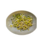 Sprossen Radieschen 100g