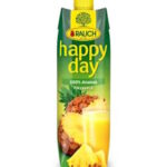 Happy Day Ananas-Saft 1L Tetra