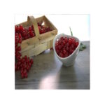 Johannesbeeren rot 2,5kg TK Melzer
