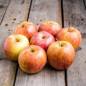 Apfel Boskoop regional