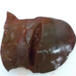 Rinderleber ganz geputzt frisch