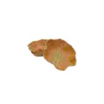 Waffelschale Gourmet knusprig 120mm 24Stück