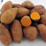 Kartoffeln Süßkartoffeln