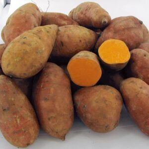 Kartoffeln Süßkartoffeln