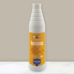 Dessertsauce Topping Haselnuss 1L Duliamo