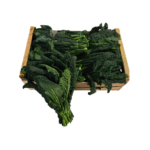 Kohl Schwarkohl "saisonaler Artikel"